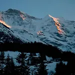 Hotel Edelweiss