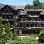 Hotel Edelweiss 2*