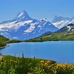 Edelweiss Hotell Wengen