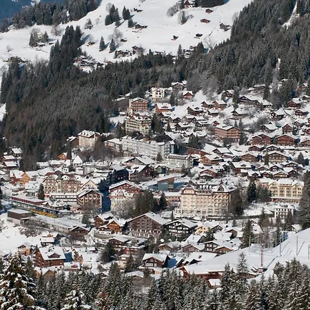 Edelweiss Wengen