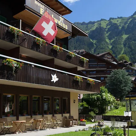 Edelweiss Hotel 2*