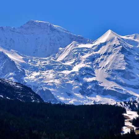 エーデルワイス ヴェンゲン
