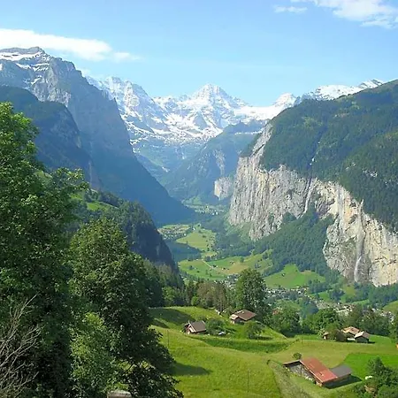Edelweiss Wengen