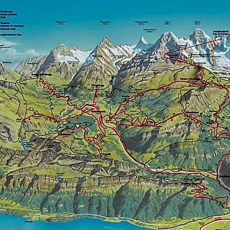 Edelweiss
