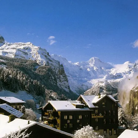 Edelweiss Wengen