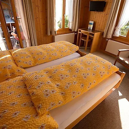 Edelweiss Hotel 2*