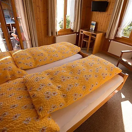Edelweiss Hotel 2*