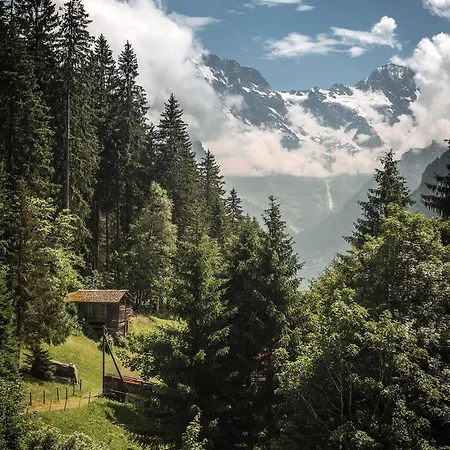 Edelweiss Hotel