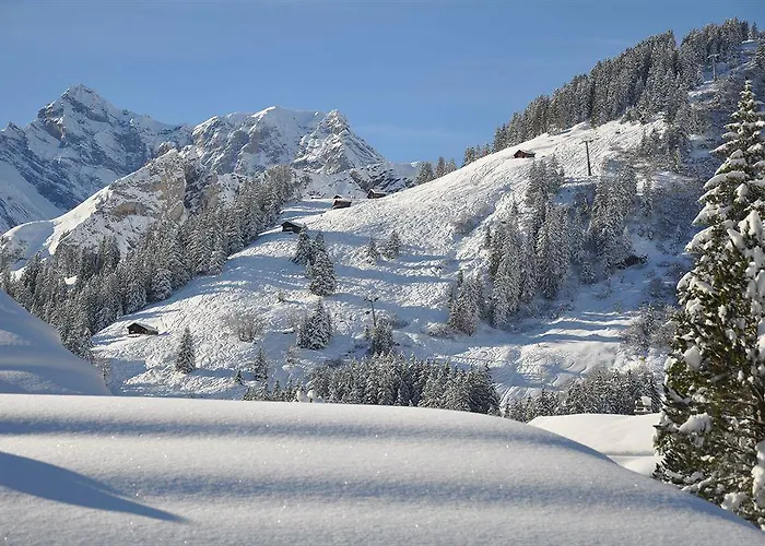 Edelweiss 2*