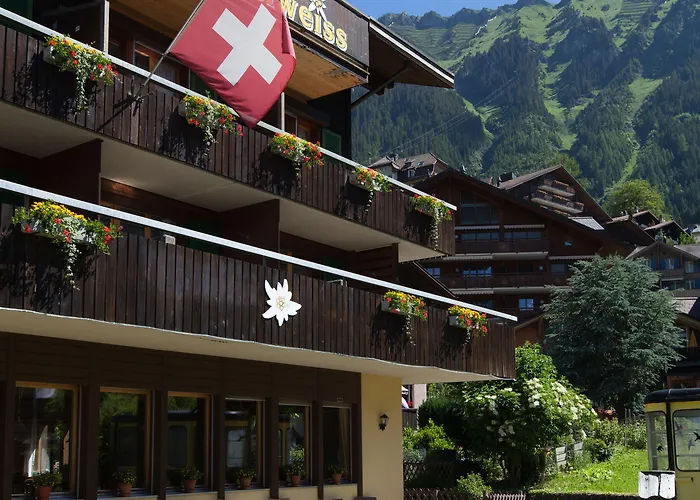 Edelweiss Hotel 2*