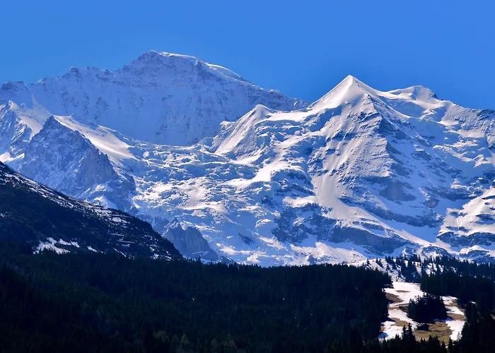 Edelweiss Wengen