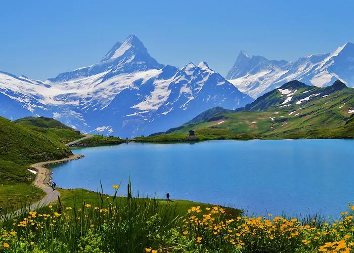 Edelweiss Hotel Wengen