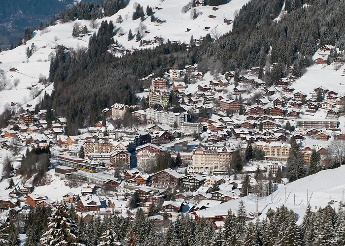 Edelweiss Wengen